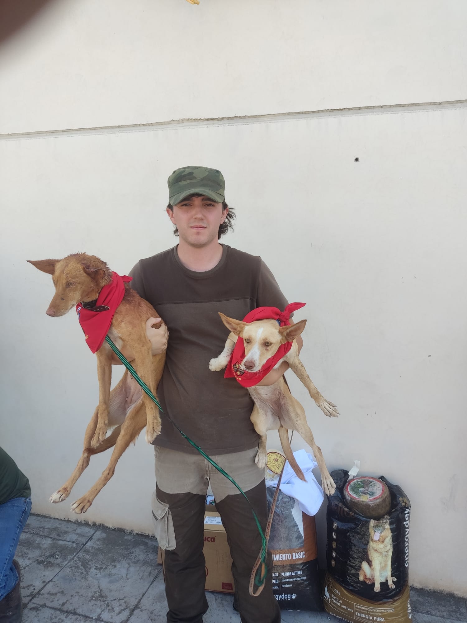 CAMPEONATO ESPAÑA PODENCO ANDALUZ